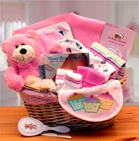 Simply The Baby Basics New Baby Gift Basket -Pink