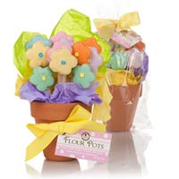 Mother's Day Flower Pot of Edible Cookies